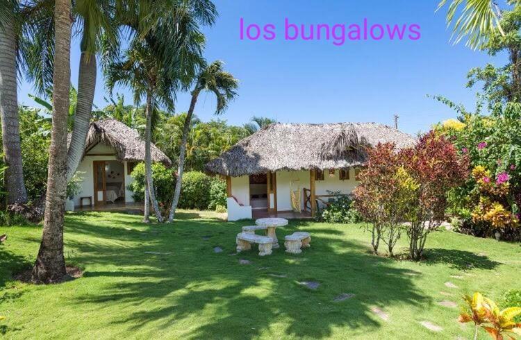 Casa Flamingo Villa Las Terrenas Exteriör bild