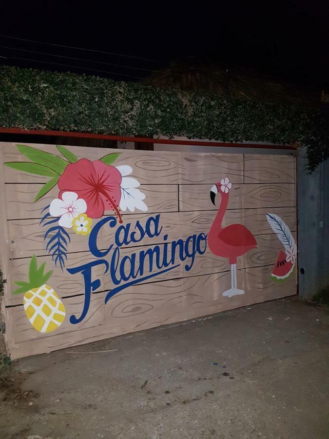 Casa Flamingo Villa Las Terrenas Exteriör bild