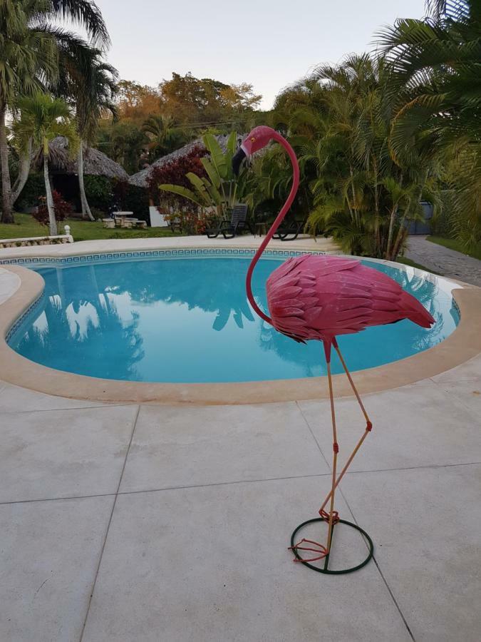 Casa Flamingo Villa Las Terrenas Exteriör bild