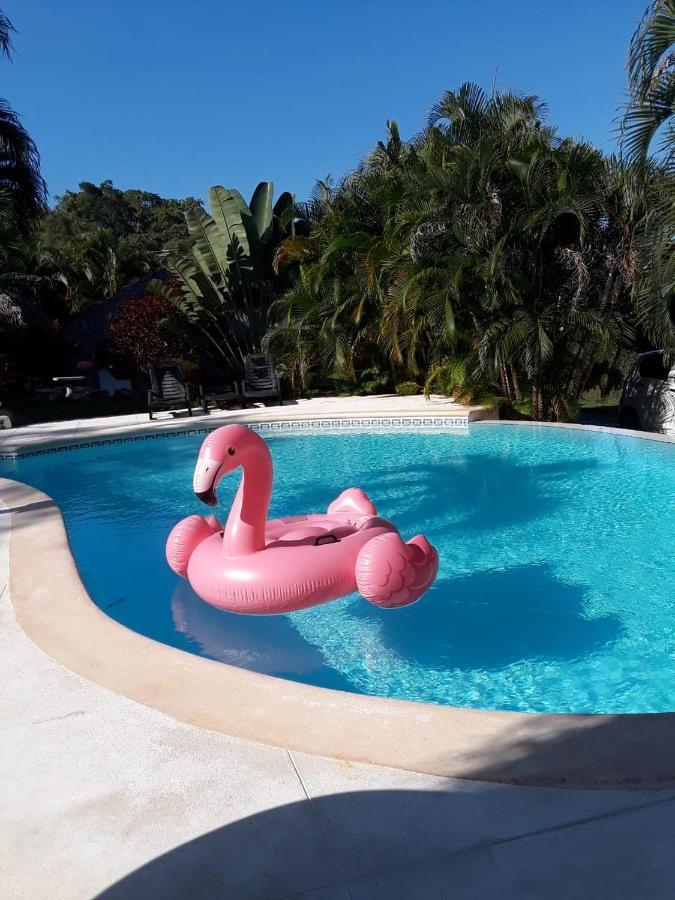 Casa Flamingo Villa Las Terrenas Exteriör bild